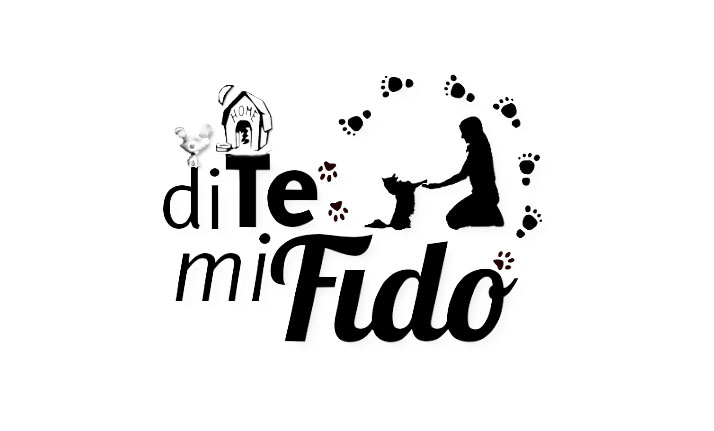 Parlano di noi…